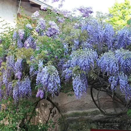 Chambres D'hotes Les Meneaux Bed & Breakfast Saint-Germain-Lespinasse